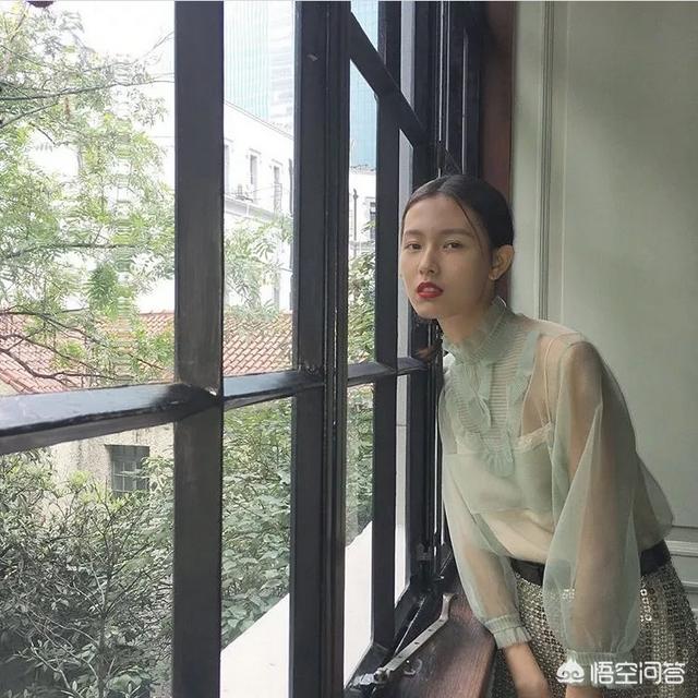 中国是什么？
(图31)