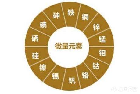 玛氏宠物营养元素:猫需要额外补充微量元素吗？