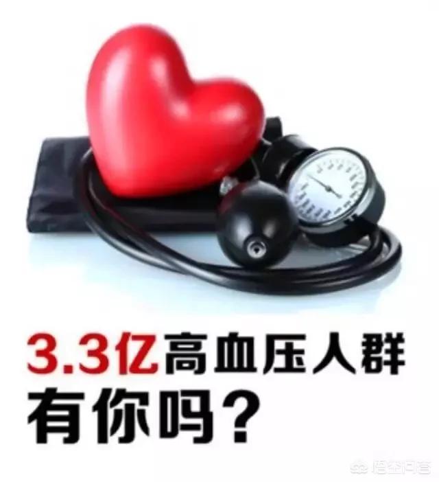 池舒欣:山东梅拉德能源动力科技有限公司介绍
