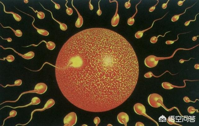 为什么说一命二运三风水四贵人五荫功六读书呢？
