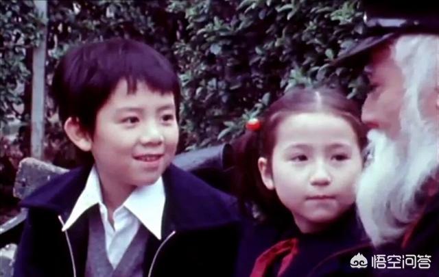 杨泽霖:经典电视剧《大内群英》的主演阵容有谁？他们的近况如何？