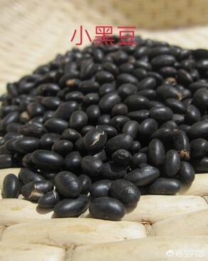 补肾养颜的食物都有哪些？