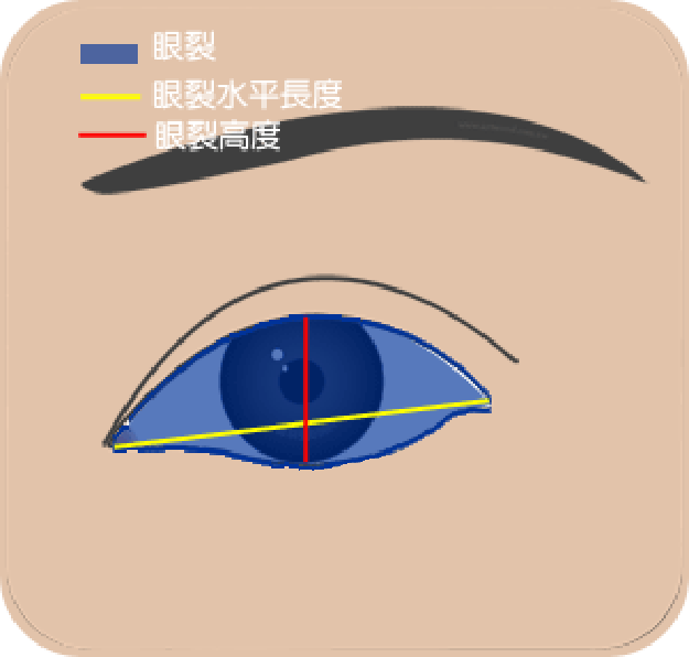 想整双眼皮发<a href=https://maguai.com/list/256-0-0.html target=_blank class=infotextkey><a href=https://maguai.com/list/256-0-0.html target=_blank class=infotextkey>朋友圈</a></a>的文案:割双眼皮、开内外眼角可以使眼睛变大吗？为什么？