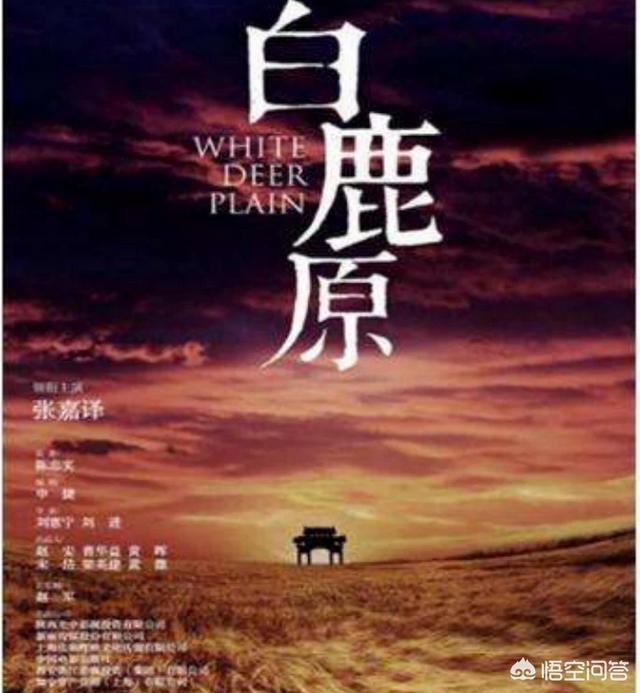 张雨绮电影白鹿原:《白鹿原》的书和电影、电视哪个更好看？