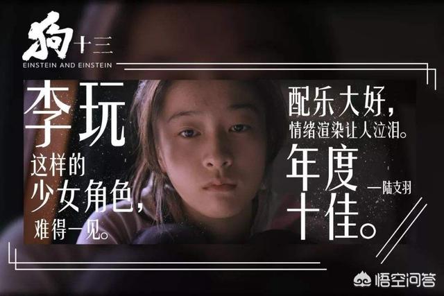 狗扑电影网怎么样:对于电影《狗十三》所反映出的教育问题你怎么看？