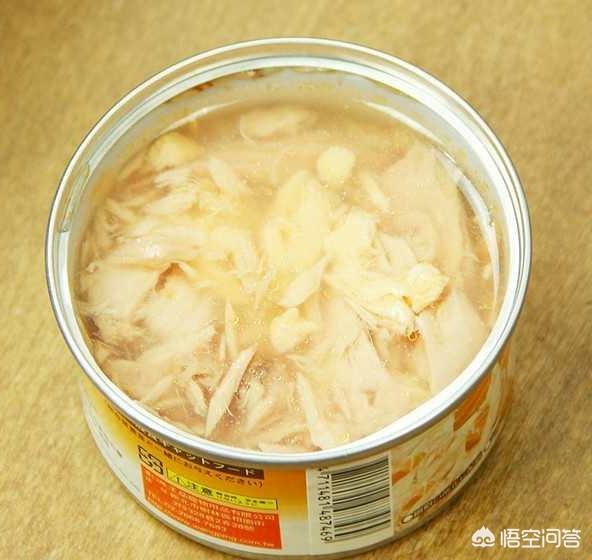 猫主食罐:猫咪不吃主食罐头怎么办？