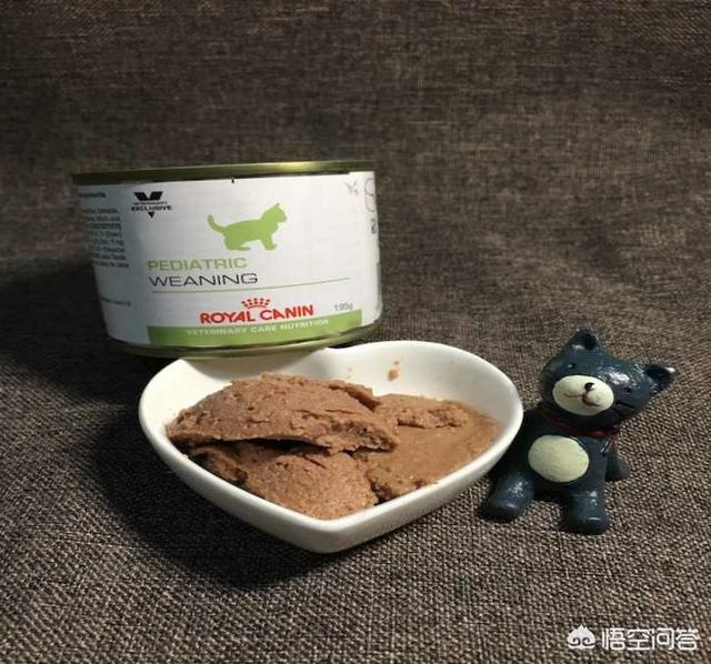 猫主食罐:猫咪不吃主食罐头怎么办？