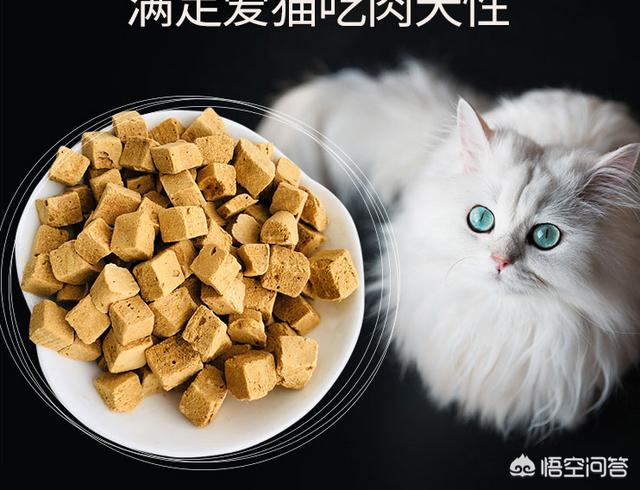 1伟嘉干粮帮助猫咪消化:猫猫尿血了怎么办？带去宠物医院做了好多检查，有必要全做吗？