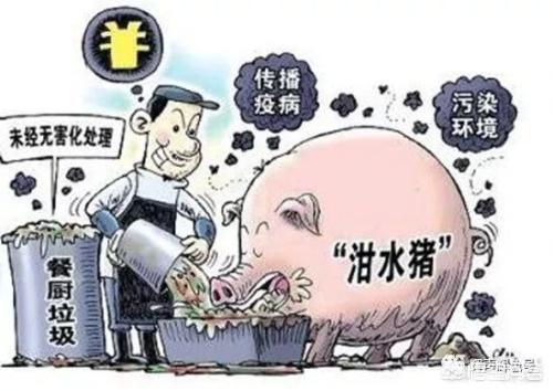 贫困地区那时不许用废油养鸡了,你们家吃加蛋怎么处置?如何节能环保环境卫生?如果贫困地区搞养殖一年能赚300,000你还愿意在外面打拼吗?(图1) 贫困地区那时不许用废油养鸡了,你们家吃加蛋怎么处置?如何节能环保环境卫生?如果贫困地区搞养殖一年能赚300,000你还愿意在外面打拼吗?(图1)