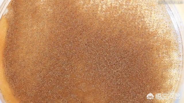 丰年虾孵化 浓度:买显微镜送的虾怎么培育好？