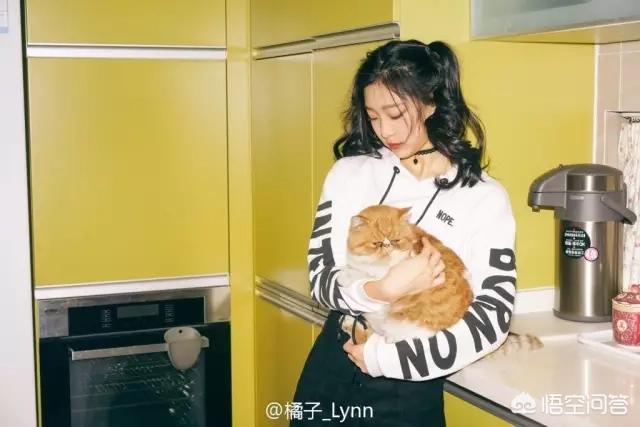 无锡 宠物摄影:怎样才能给宠物拍出美美的照片？ 无锡宠物摄影工作室