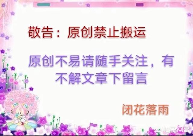 兰花建兰图片:为什么养建兰的人比较少？卖下山建兰的也比较少？