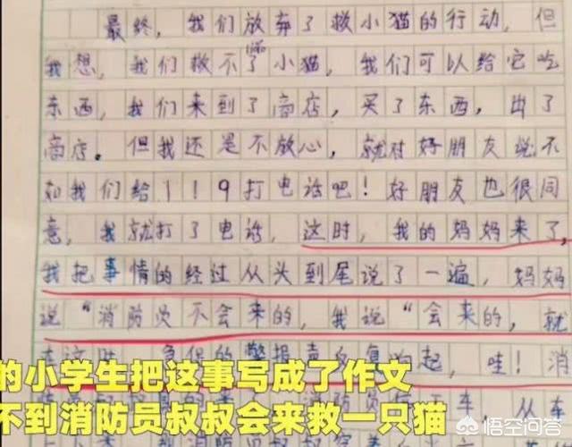 消防员救狗跳粪坑:怎么看待兰州突降暴雨，消防员营救“巨婴”？