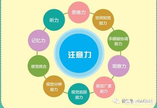 儿童注意力训练:儿童教育如何做比较好？孩子注意力经常不集中？