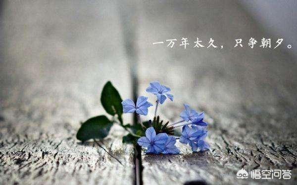 发<a href=https://maguai.com/list/256-0-0.html target=_blank class=infotextkey>朋友圈</a>的精美句子短配图早就上:你觉得唯美，伤感的，句子或图片有哪些？