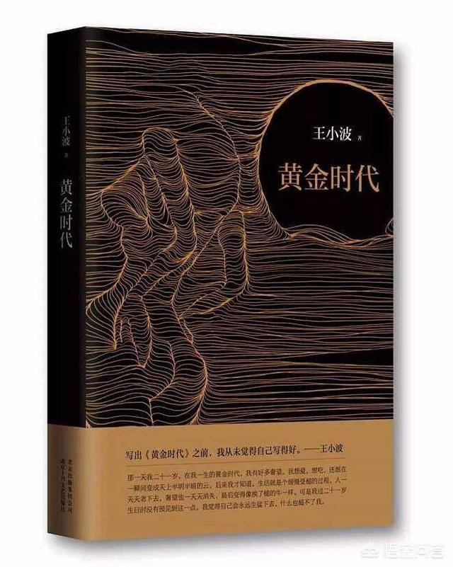 李银河是谁:王小波到底是什么样的一个人？