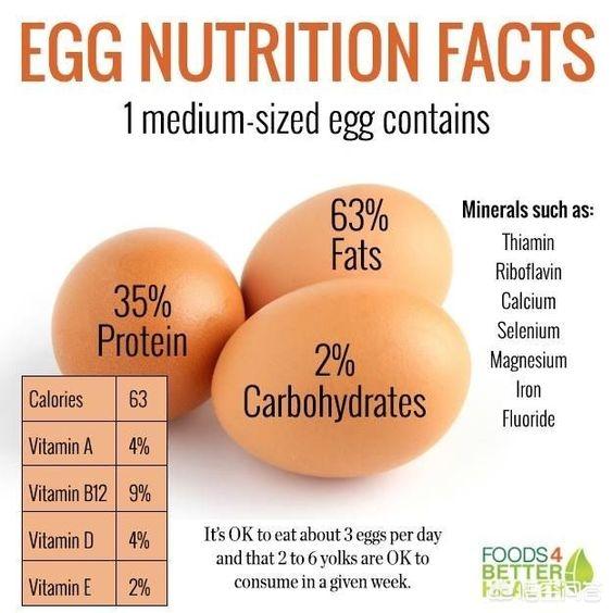 增肌期吃什么蛋白质最好，增肌时，吃鸡蛋清和蛋白粉哪个更划算