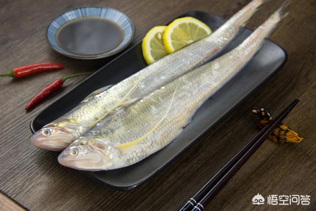 头条问答 河豚美味 还是刀鱼美味 冰激凌06的回答 0赞