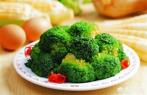 爪哇猫感冒发烧怎么办:布偶猫感冒了能好吗，猫咪感冒怎么办？布偶猫感冒会传染吗？