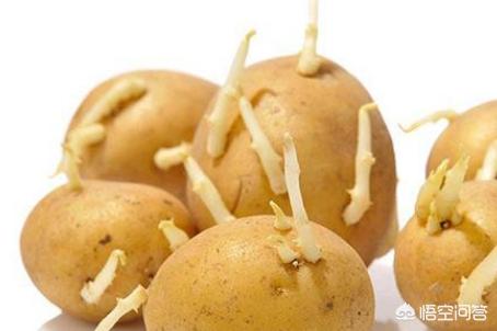 怀孕什么东西不能吃:怀孕第一个月有哪些饮食禁忌，孕妈妈要注意什么？