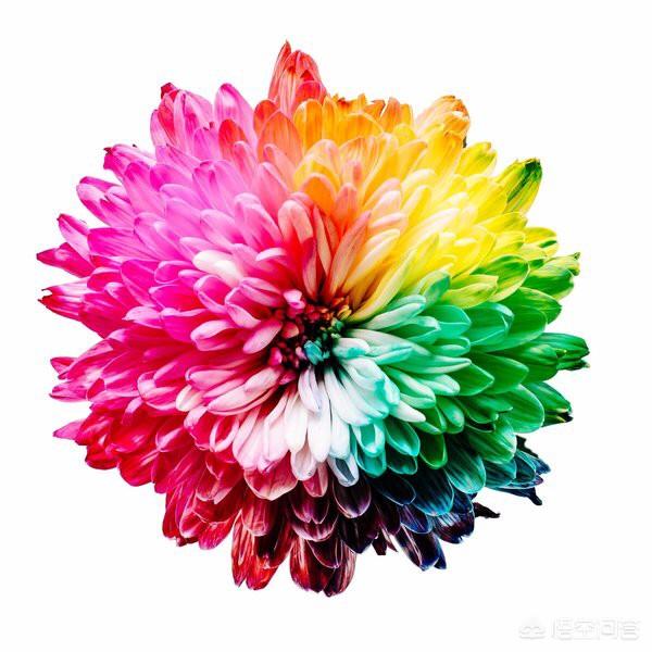怎么包装朋友圈更吸引人:朋友圈代购怎样才能增加客源？(微信代购怎么增加客源)