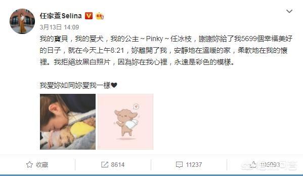 狗的悼文大全:Selina的爱犬离世，难道不能上热搜吗？