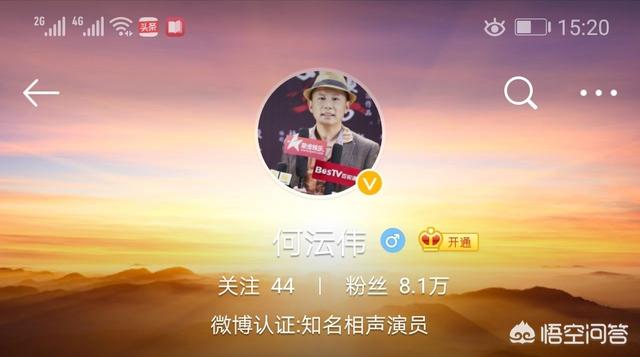 文颐造假:何沄伟遭遇高仿号发布不实言论，你如何评价？