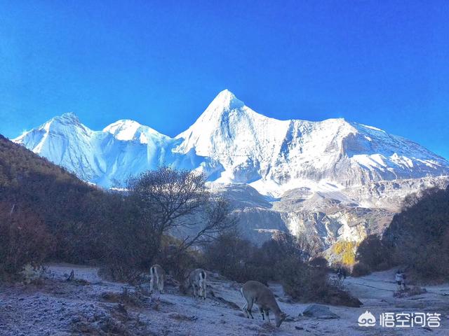 中国有名的旅游胜地有哪些,你都去哪里旅游过？