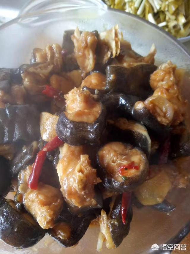 大鲵图片:娃娃鱼怎么做既方便又好吃