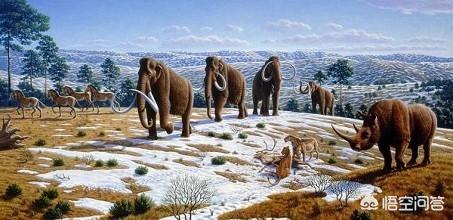 科学家们正在复活猛犸象？，猛犸象都成化石了，为什么科学家说还能通过克隆复活？