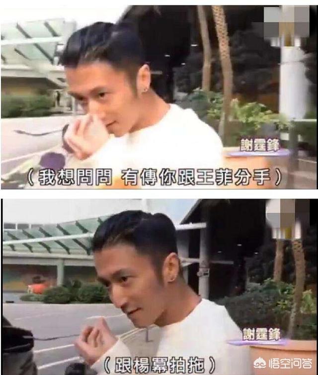 谢霆锋杨幂:谢霆锋和杨幂两个没什么交集的明星，为什么屡屡被传在一起？