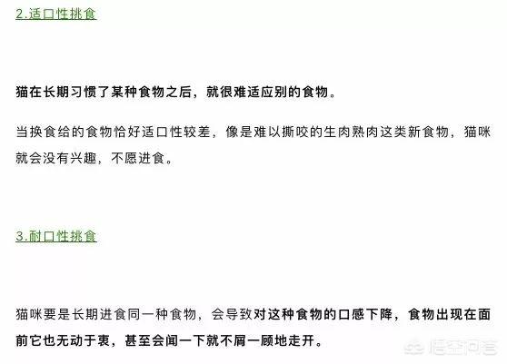 喂狗吃辣子鸡博主回应争议:喂猫是一天喂几顿好，还是24小时放着猫粮在碗里好？