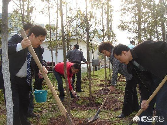 清明节还有哪些风俗传统（清明节有什么风俗传统）