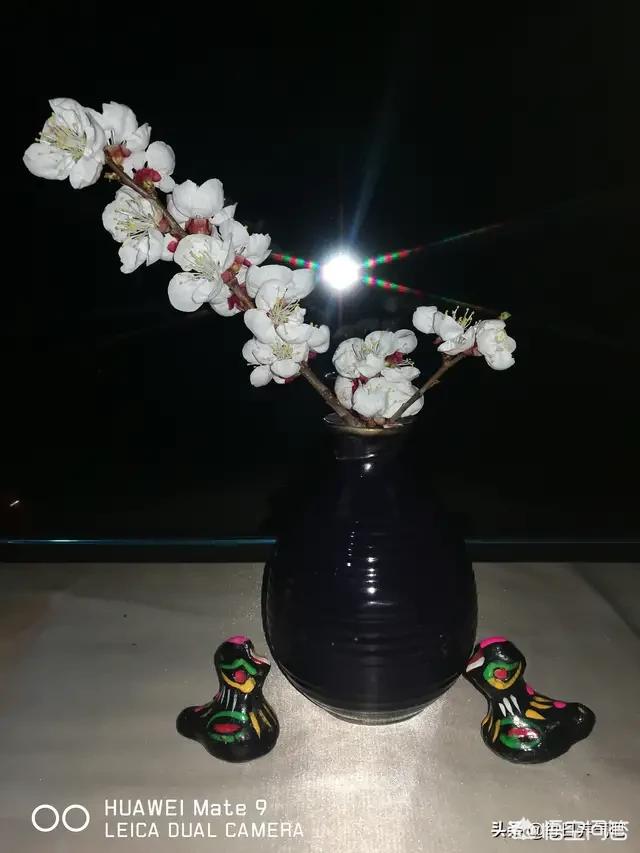 你心目中的“人生第一事业”是啥？