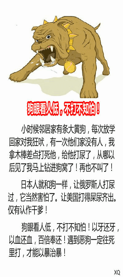 主人做瑜伽狗看不过眼:为什么“狗眼看人低”的人越来越多？