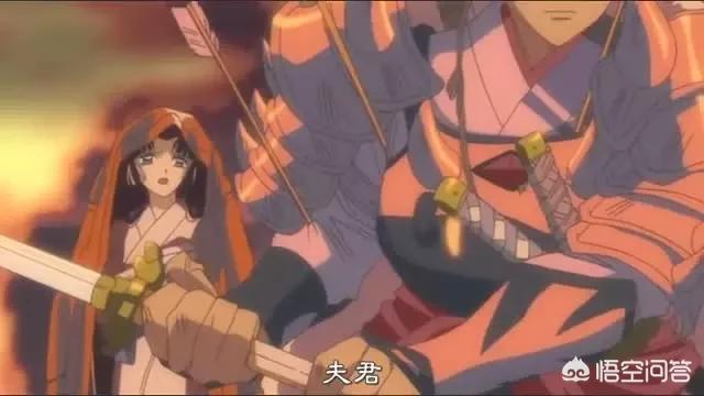 美女犬交手册:美女主持人楼下超市遛狗忘栓狗绳被打，论如何规范养狗？