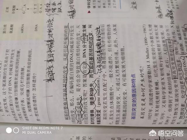 头条问答 基因突变和基因变异有什么区别 6个回答