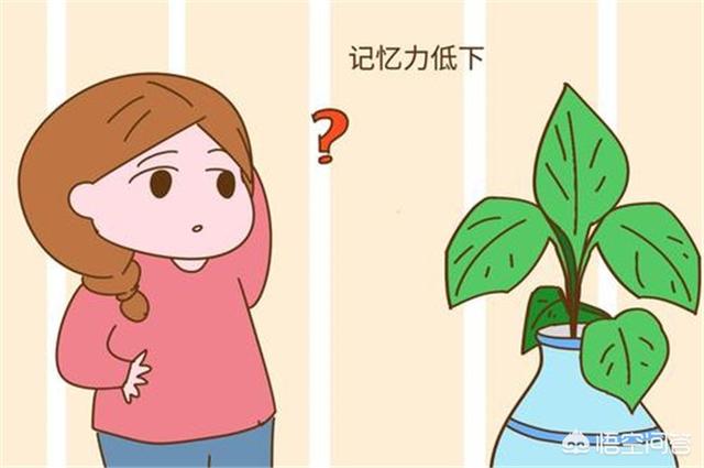 头条问答 - 为什么宝妈生完孩子记忆力越来越差?(9个回答)