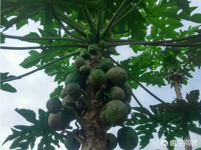 微信爱情故事简谱:你住酒店时都有怎样的故事？