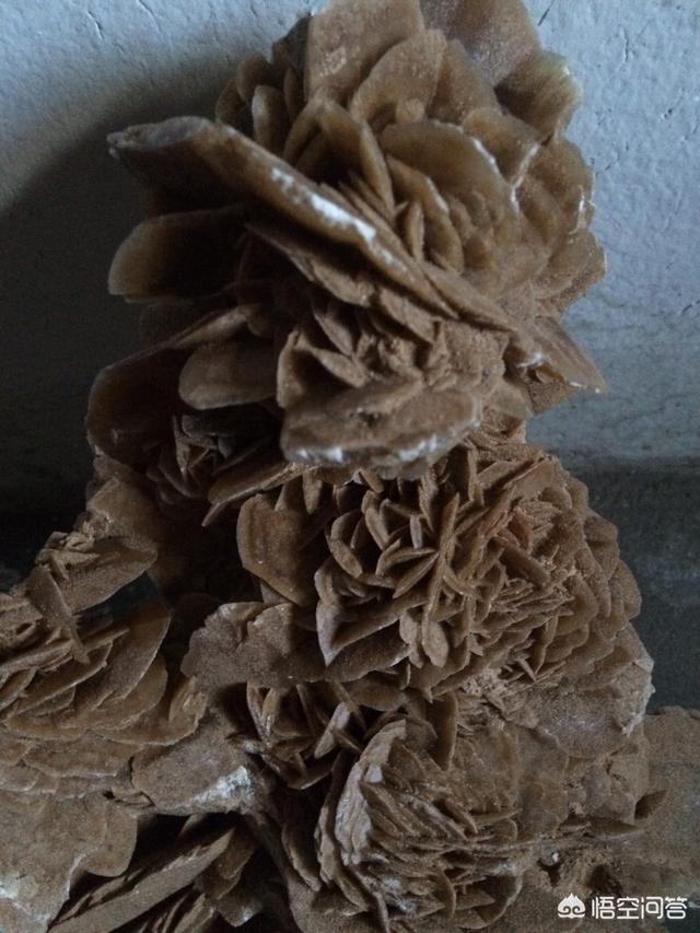 阿拉善彩玉手镯,请问玩石行家，这是什么石种？