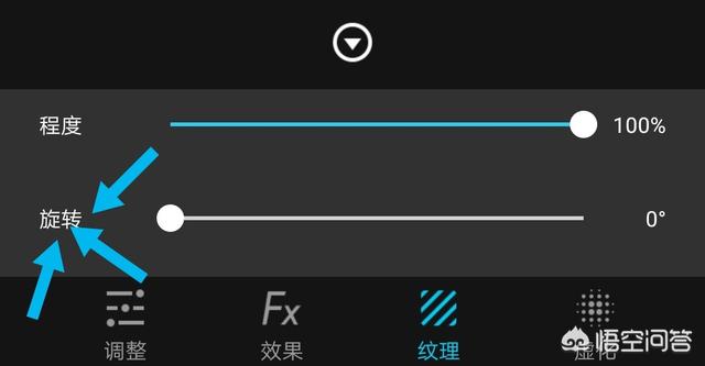 陈诗云微拍:怎么拍树叶子能让照片显得非常好看