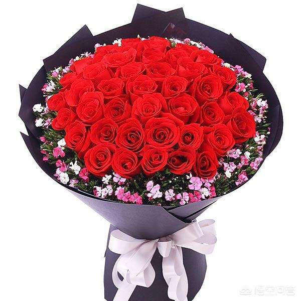 西方情人节会做什么（西方情人节的文化内涵）