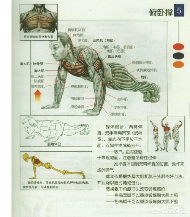 如何完成一个标准的俯卧撑？