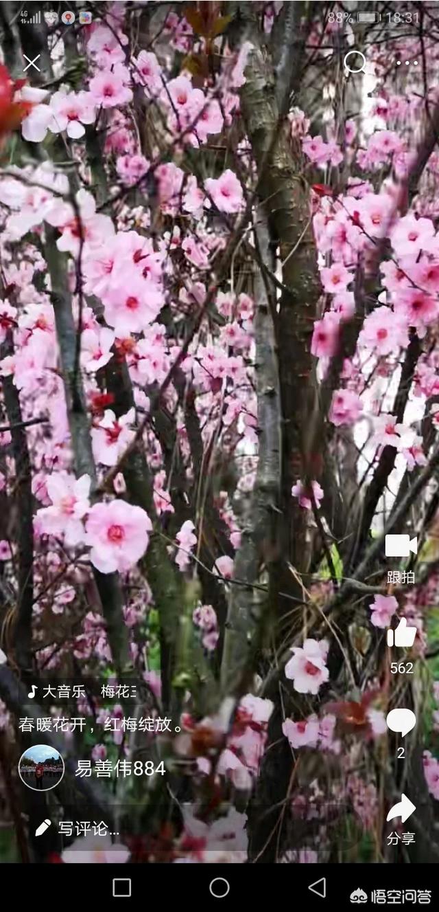 在今日头条怎么做短视频？