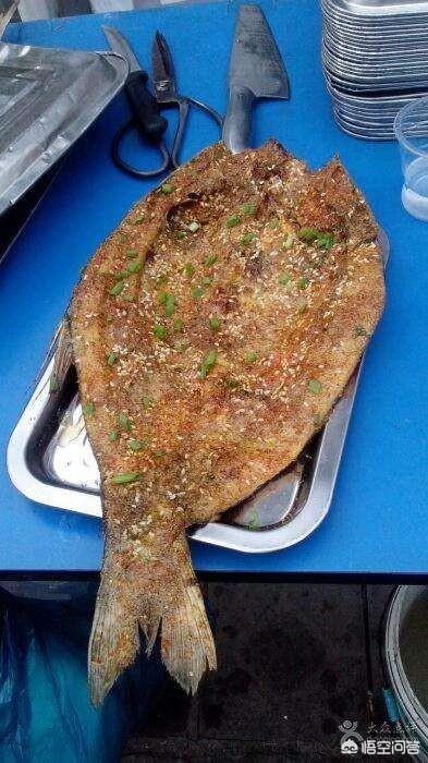 湖光岩水怪:农村人说吃鲢鱼要吃大的，那么最大的鲢鱼能长多大？