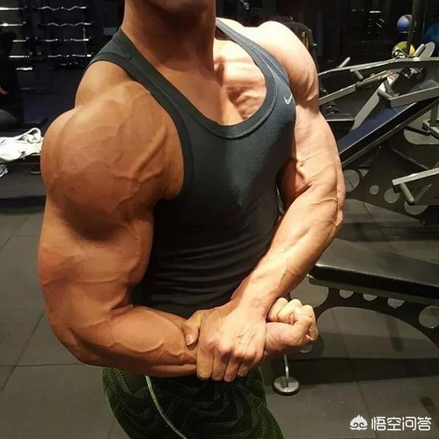 头条问答 如何锻炼三角肌 Mfcrooks的回答 0赞