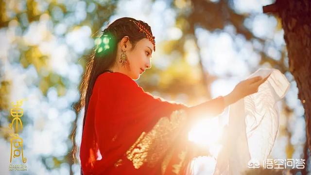 电视剧东宫剧情介绍:如何评价匪我思存的《东宫》
