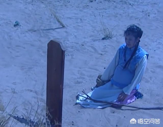 《康熙王朝》中容妃是康熙最喜欢的妃子，为什么会被康熙送入宗人府，后来又杀死所有看见她刷马桶的人？插图119