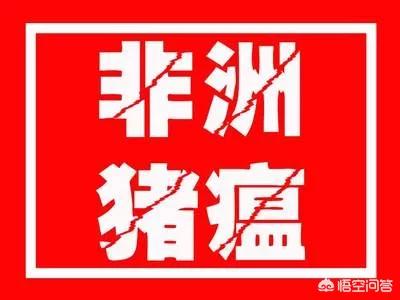 济南东大宠物兔养殖场:广西、山东接连爆首例非洲猪瘟疫情，对猪价影响如何？