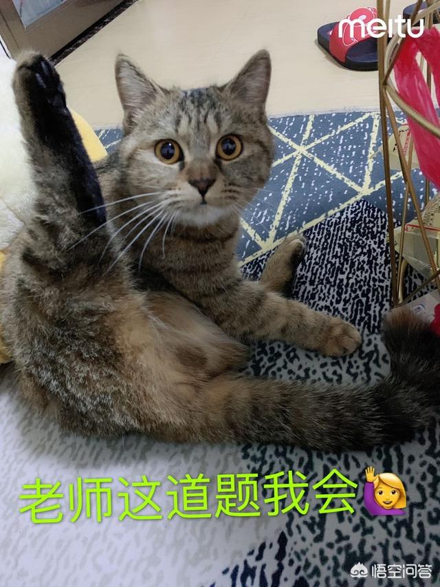 路边写血书的乞丐是真的吗？
